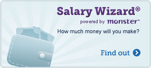 Salary Widget