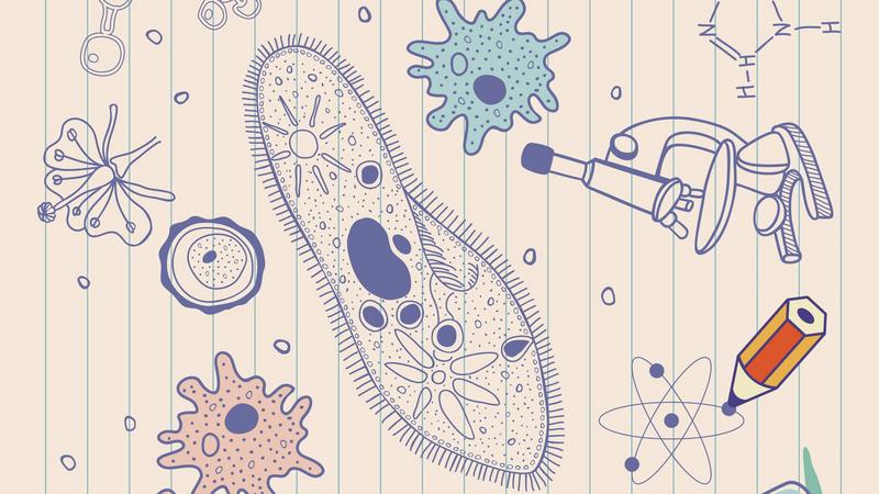 Top Biology Scholarships for 2025